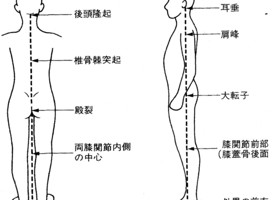 立位姿勢の理想的アライメント